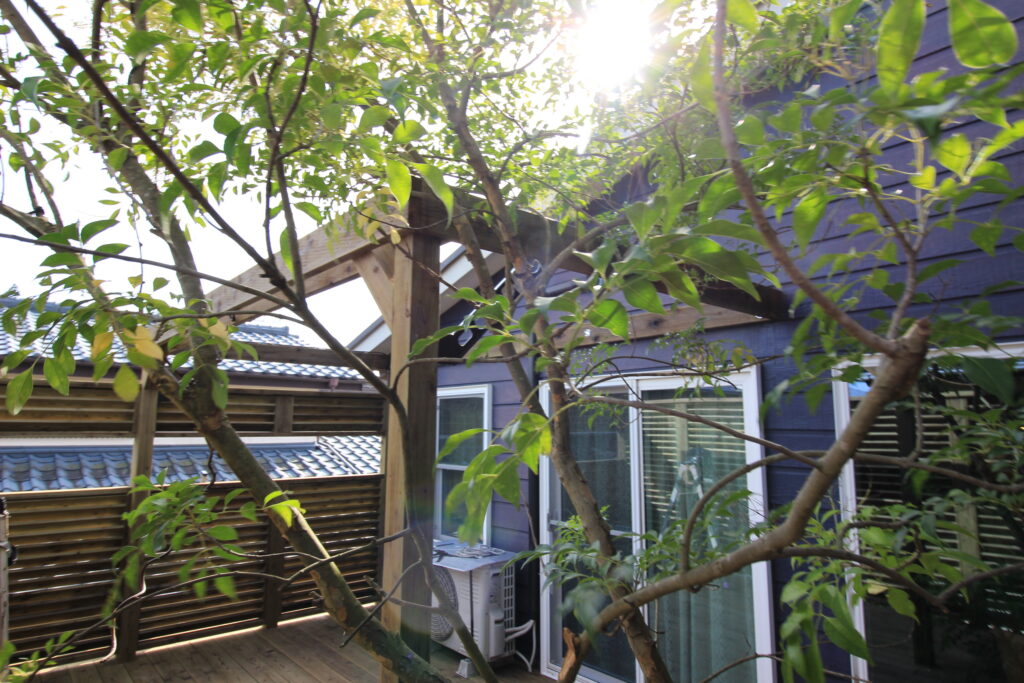 木製パーゴラ　天然木加圧注入　ガレージデッキ　目隠しフェンス　東京都町田市