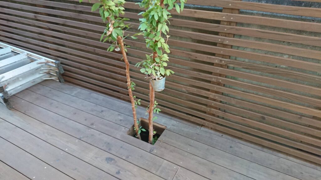 樹木用　デッキくり抜き　ウッドデッキ　横浜市緑区