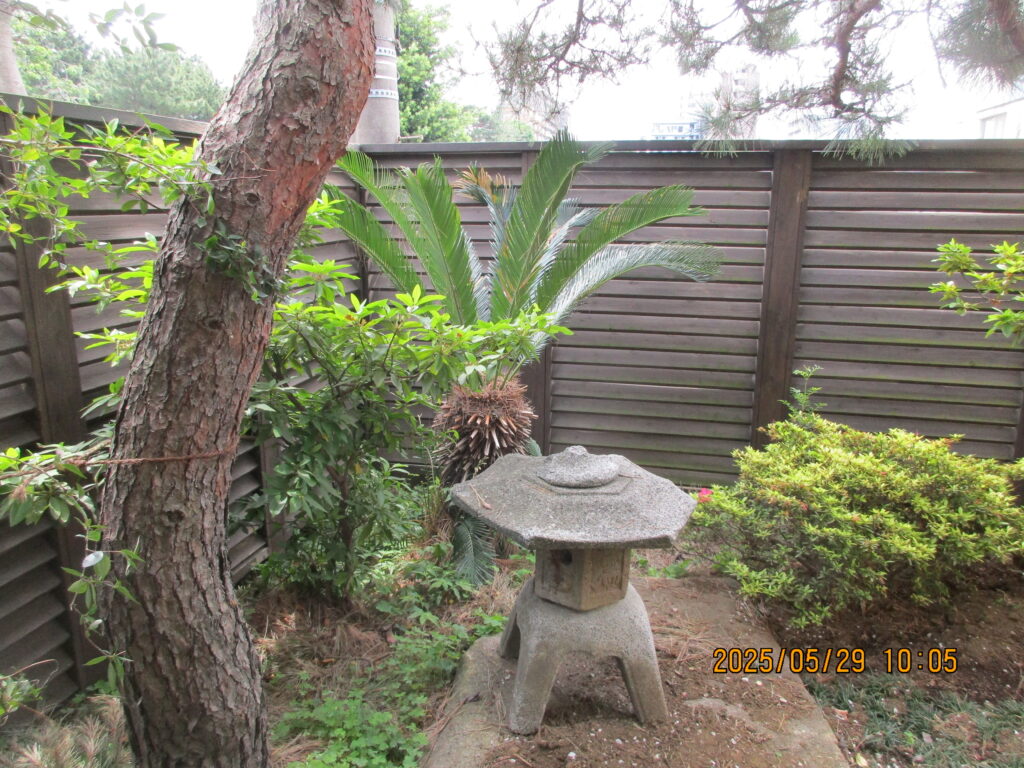 木製ルーバーフェンス 石灯籠 ソテツ