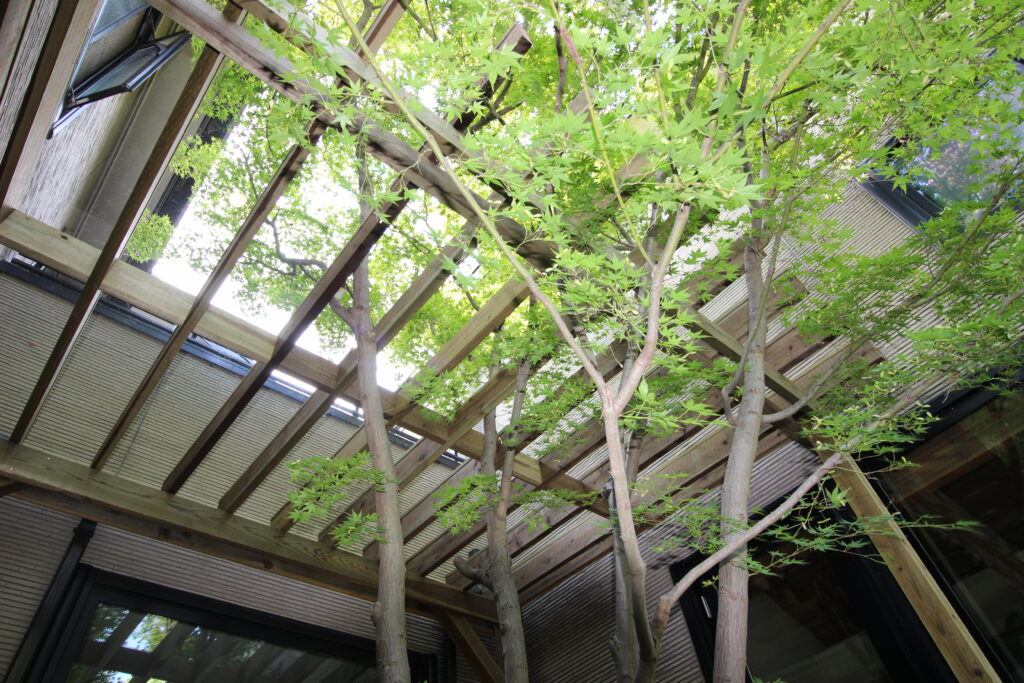 ポリカ平板付きパーゴラと樹木　ガーデニング　横浜市都筑区