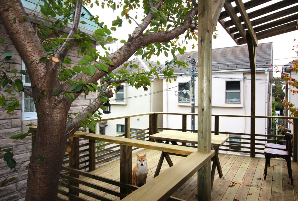 木製ガレージデッキ　防腐した国産杉　柴犬　ドッグラン　世田谷区 