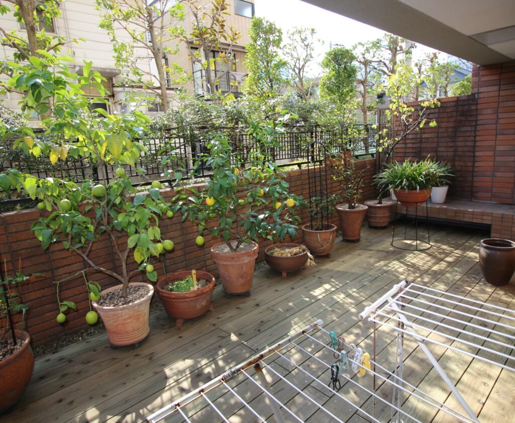東京都品川区　果物の鉢植えが並ぶ日当たりのいいウッドデッキ