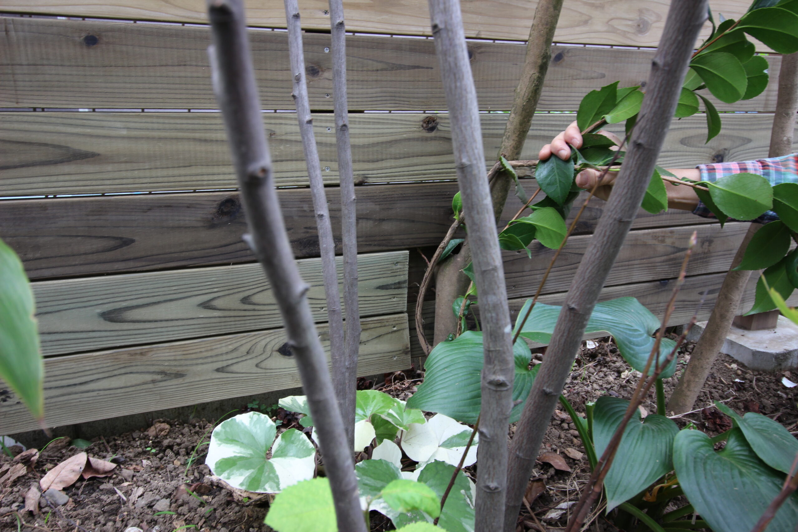 ウッドフェンスの細かい細工 防腐防蟻処理木材 お天然木でも手入れ簡単