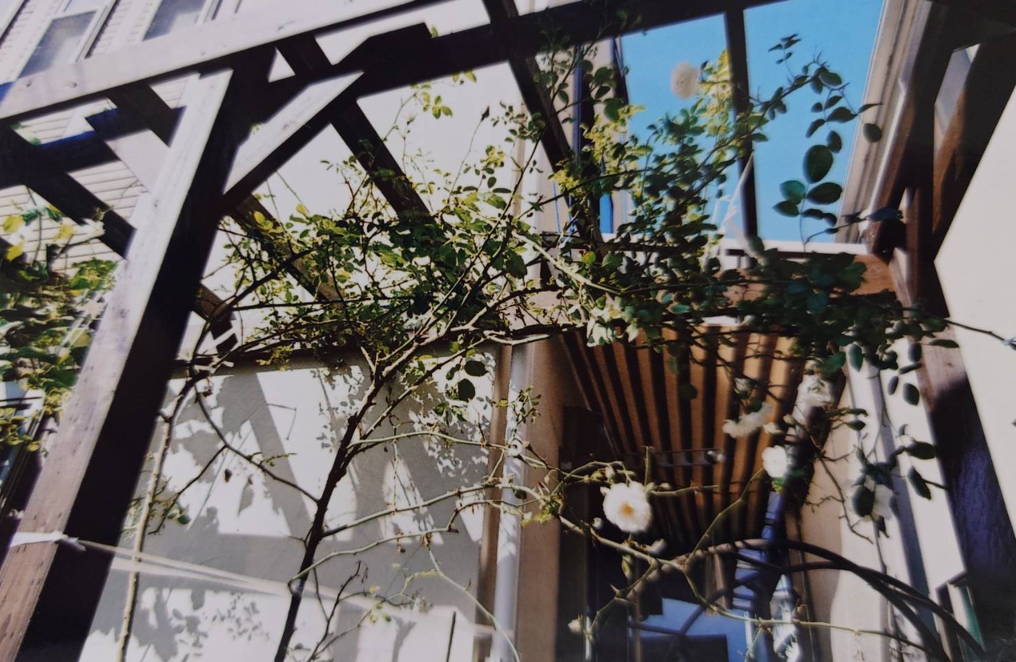 木製パーゴラ、光と影、藤沢市