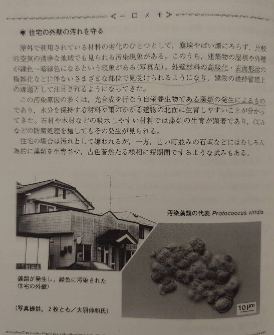 ウッドデッキに付く藻の除去