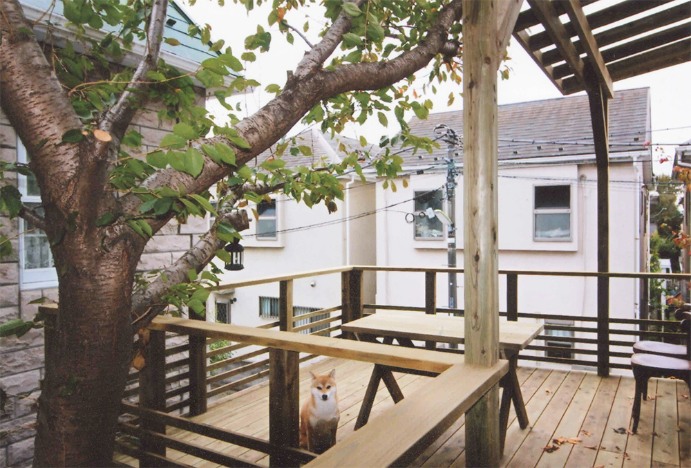東京都世田谷区N様邸 桜の木とパーゴラとフェンスの調和が美しいデザインデッキ