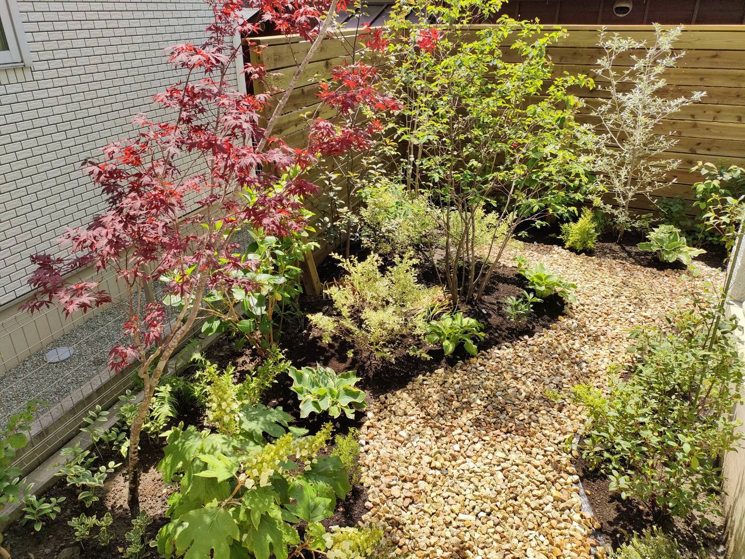 天然木フェンスと植栽