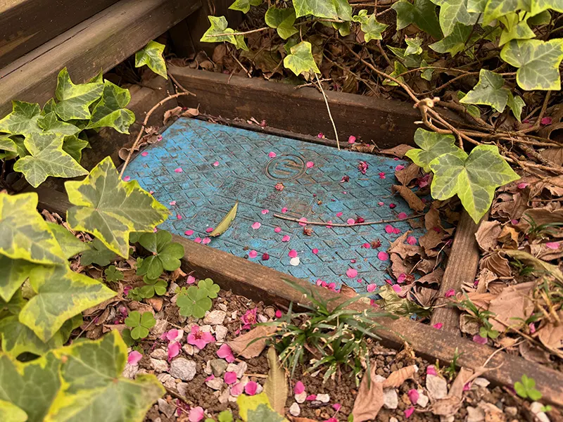 散水栓の周りの木材