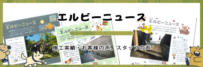 エルビーニュース